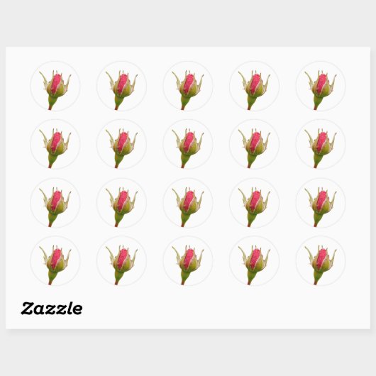 Rosebud Sticker (Vel)