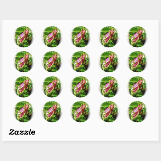 Rosebud Stickers (Vel)