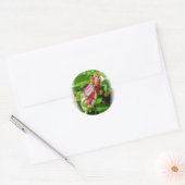Rosebud Stickers (Envelop)