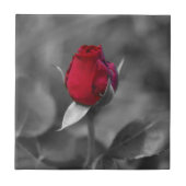 Rosebud-tegel Tegeltje (Voorkant)