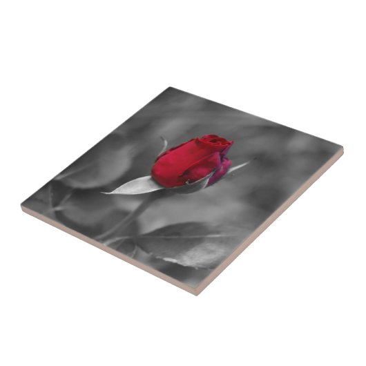 Rosebud-tegel Tegeltje (Zijkant)