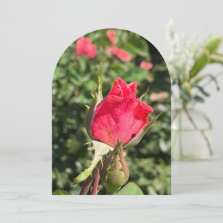 Rosebud tuinboog, platte kaart