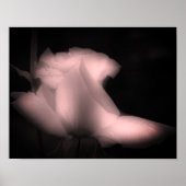 Rosebud zwart en wit gekleurd poster (Voorkant)