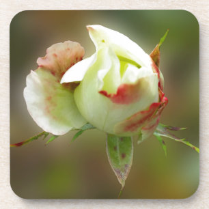 rosebuds gloeien bier onderzetter