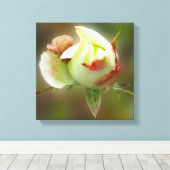 rosebuds gloeien canvas afdruk (Insitu (Houten vloer))