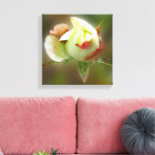 rosebuds gloeien canvas afdruk (Insitu (Woonkamer))