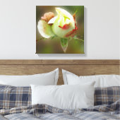 rosebuds gloeien canvas afdruk (Insitu (Slaapkamer))