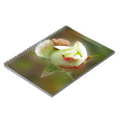 rosebuds gloeien notitieboek (Linkerzijde)
