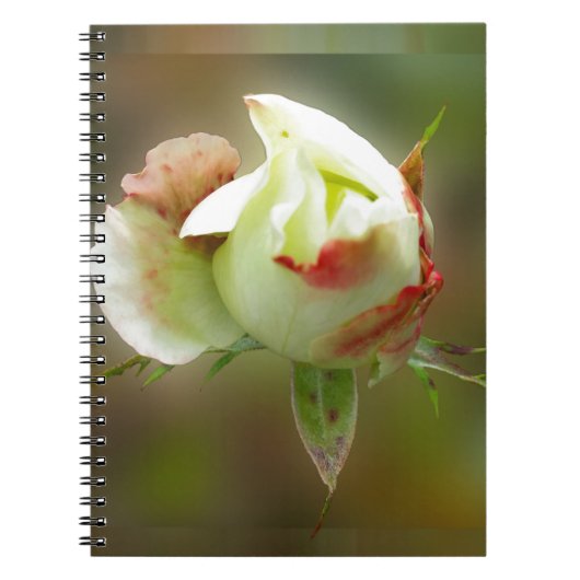 rosebuds gloeien notitieboek (Voorkant)