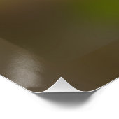 rosebuds gloeien poster (Hoek)