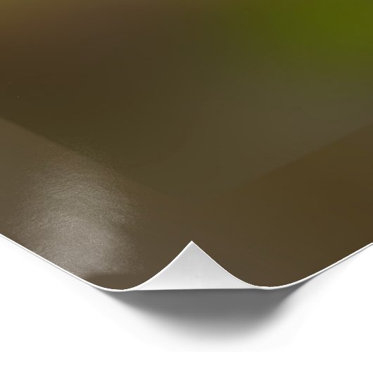 rosebuds gloeien poster (Hoek)