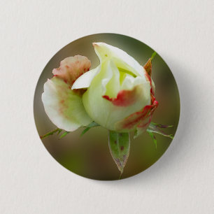 rosebuds gloeien ronde button 5,7 cm