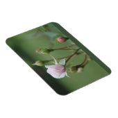 Rosebuds Magneet (Rechterzijde)