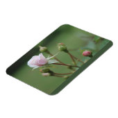 Rosebuds Magneet (Linkerzijde)