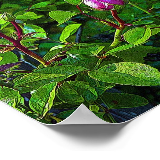 Rosebuds Poster (Hoek)