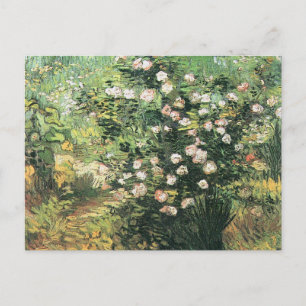 Rosebush in Blossom door Vincent van Gogh Briefkaart