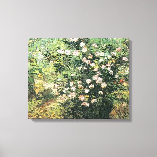 Rosebush in Blossom door Vincent van Gogh Canvas Afdruk (Voorkant)
