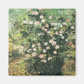 Rosebush in Blossom door Vincent van Gogh Magneet (Voorkant)