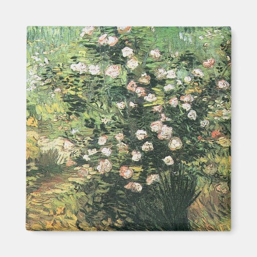 Rosebush in Blossom door Vincent van Gogh Magneet (Voorkant)