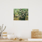 Rosebush in Blossom door Vincent van Gogh Poster (Keuken)