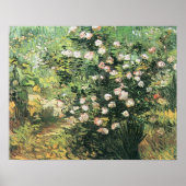 Rosebush in Blossom door Vincent van Gogh Poster (Voorkant)