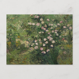 Rosebush in Blossom, Van Gogh Fine Art Briefkaart
