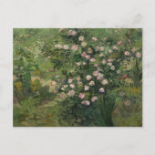 Rosebush in Blossom, Van Gogh Fine Art Briefkaart (Voorkant)