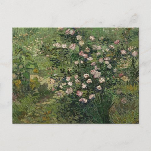 Rosebush in Blossom, Van Gogh Fine Art Briefkaart (Voorkant)