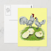 Rosecomb Bantammers en Kuikens Briefkaart (Voorkant / Achterkant)