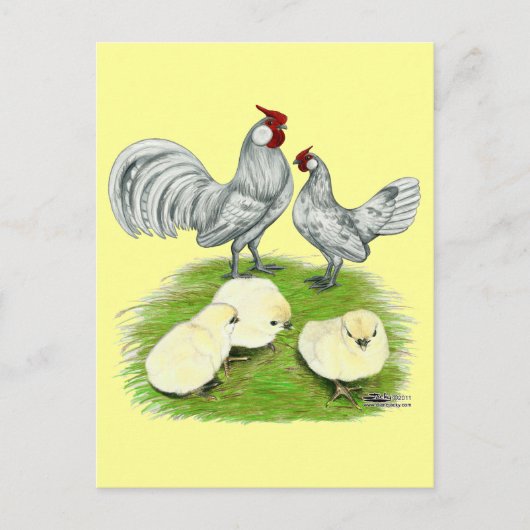 Rosecomb Bantammers en Kuikens Briefkaart (Voorkant)