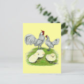 Rosecomb Bantams en Chicken Briefkaart (Staand voorkant)
