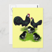 Rosecomb Black Bantam Family Briefkaart (Voorkant / Achterkant)