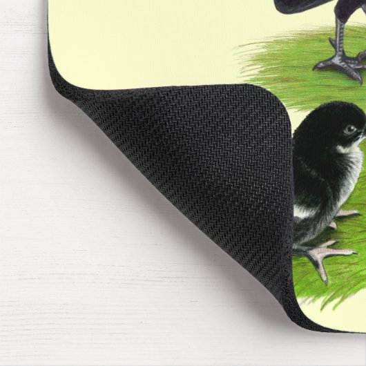 Rosecomb Black Bantam Family Muismat (Hoek)