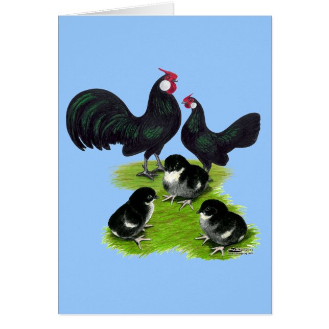 Rosecomb Zwarte Bantam Familie (Voorkant)