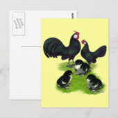Rosecomb Zwarte Bantam Familie Briefkaart (Voorkant / Achterkant)