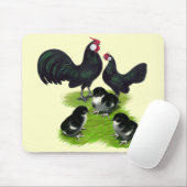 Rosecomb Zwarte Bantam Familie Muismat (Met muis)