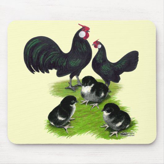 Rosecomb Zwarte Bantam Familie Muismat (Voorkant)