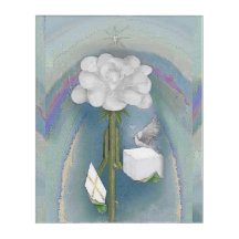 Rosegifts Dove Roos Acrylwand Art