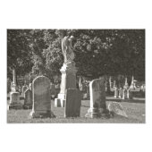 Rosehill III Foto Afdruk (Voorkant)