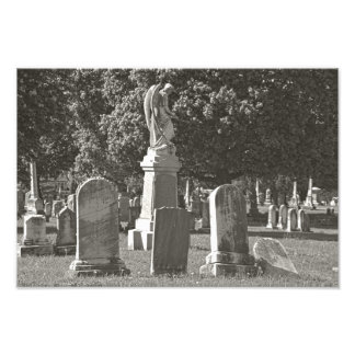 Rosehill III Foto Afdruk