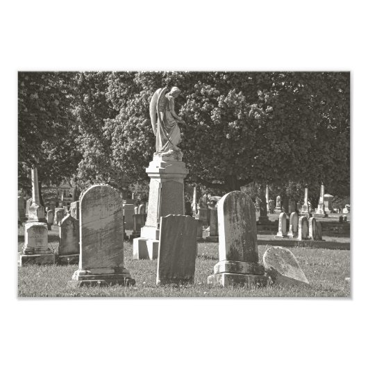 Rosehill III Foto Afdruk (Voorkant)