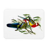 Rosehill Parakeet Parrot Australië Magneet (Horizontaal)