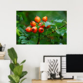Rosehip na regen poster (Thuiskantoor)