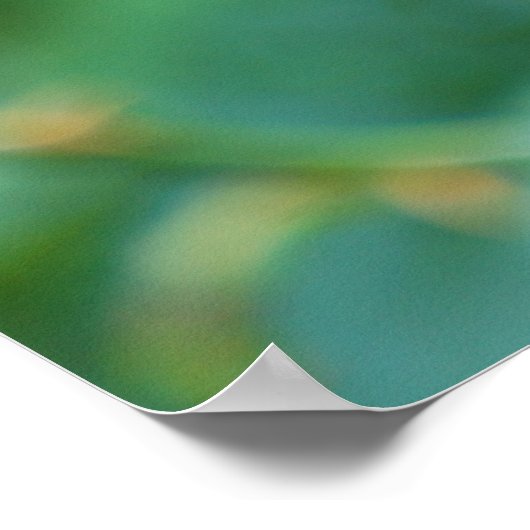 Rosehip struik na regen poster (Hoek)