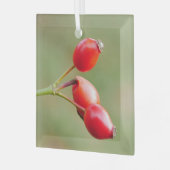 Rosehips Ornament (Voorkant links)