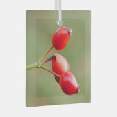 Rosehips Ornament (Voorkant Rechts)