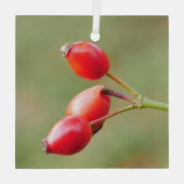 Rosehips Ornament (Achterkant)