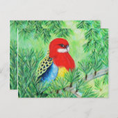 Rosella Bird Painting Briefkaart (Voorkant / Achterkant)