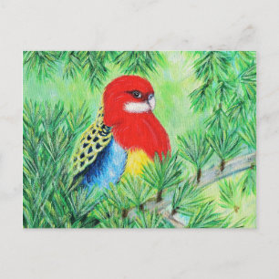 Rosella Bird Painting Briefkaart