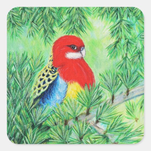 Rosella Bird Painting Vierkante Sticker (Voorkant)